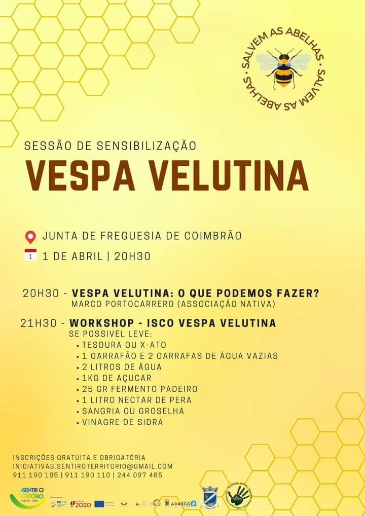 Imagem Sessão de sensibilização sobre Vespas Velutinas