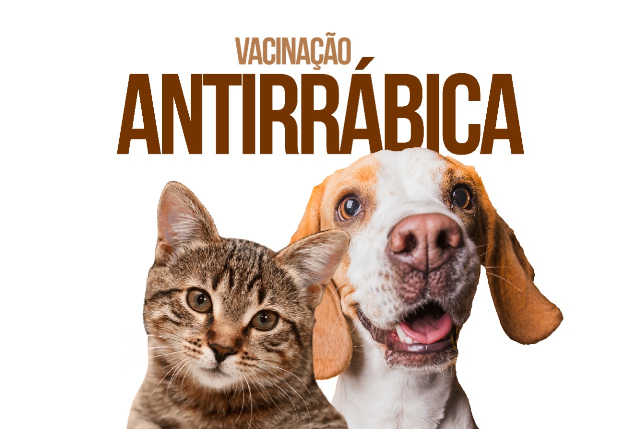 Imagem Vacinação Antirrábica 2022